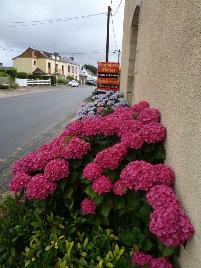 Bed and Breakfast Popote Et Polochon Saint-Martin-sur-Oust Esterno foto
