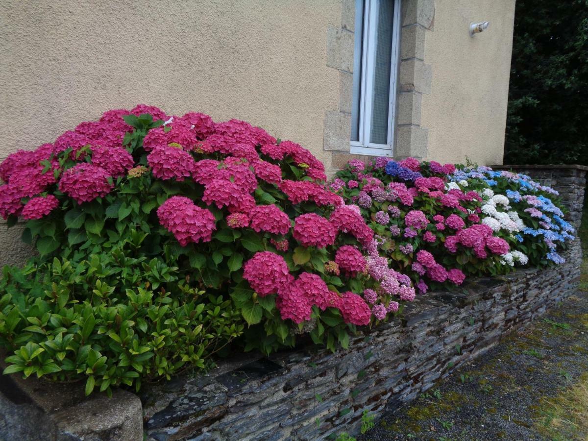 Bed and Breakfast Popote Et Polochon Saint-Martin-sur-Oust Esterno foto