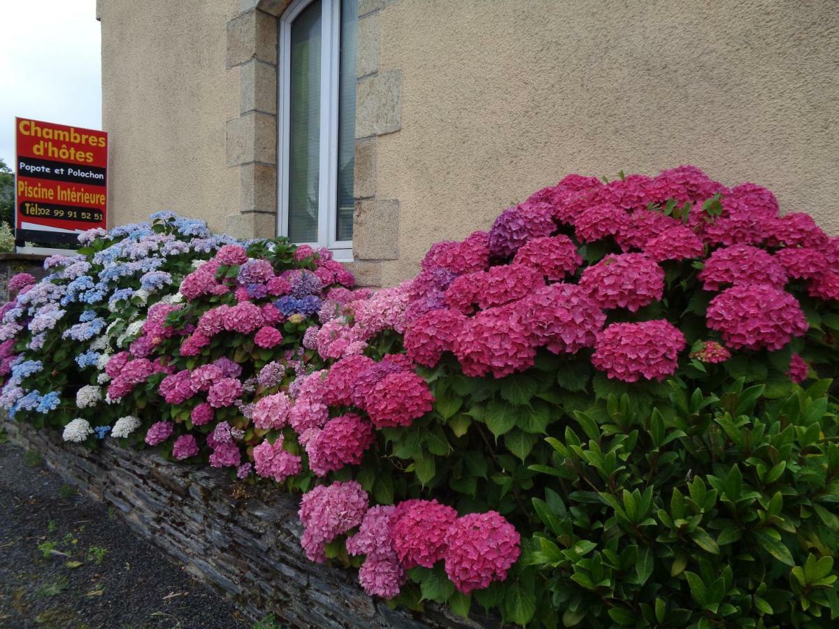 Bed and Breakfast Popote Et Polochon Saint-Martin-sur-Oust Esterno foto